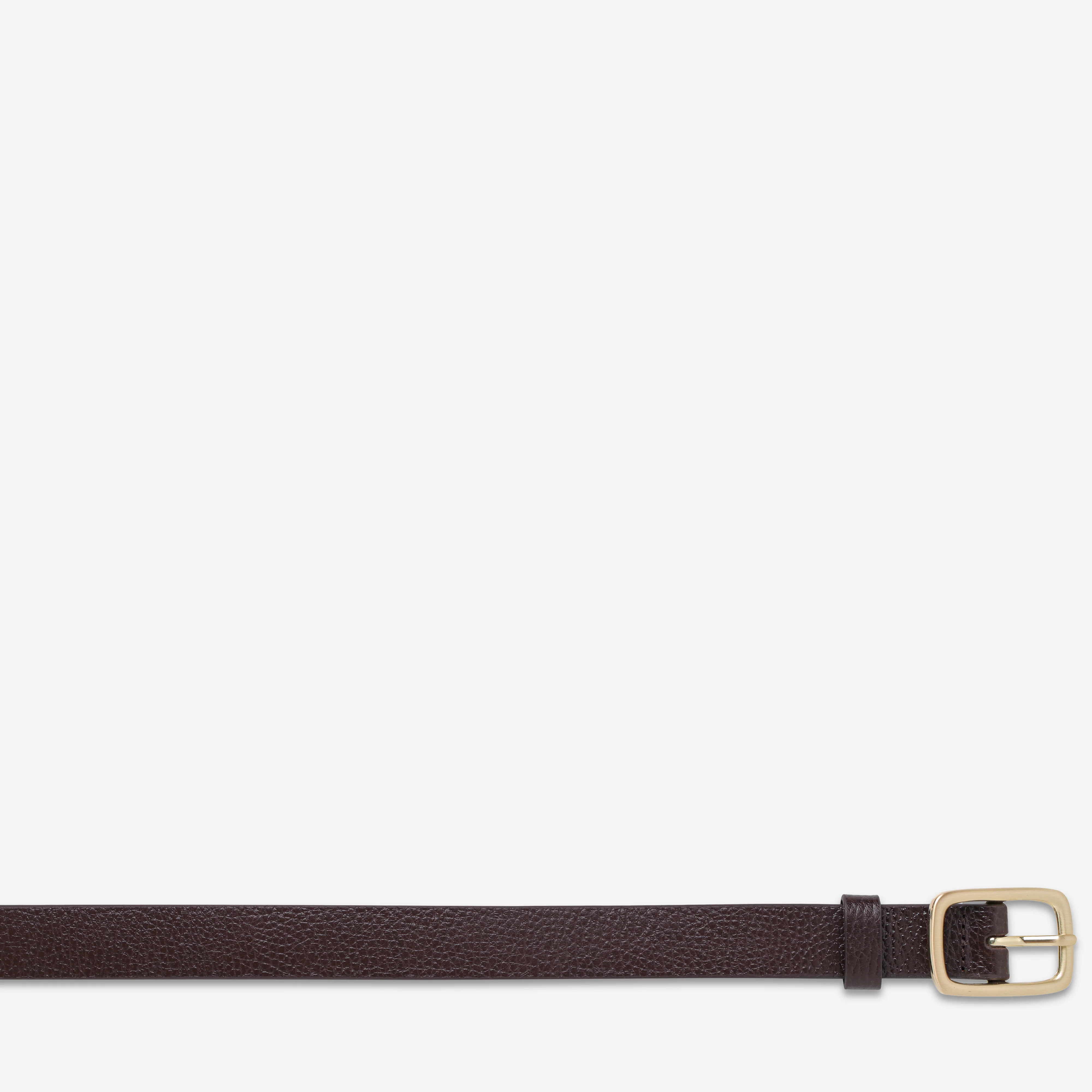 Nobody's Fault Belt - Choc/Gold - Image 5